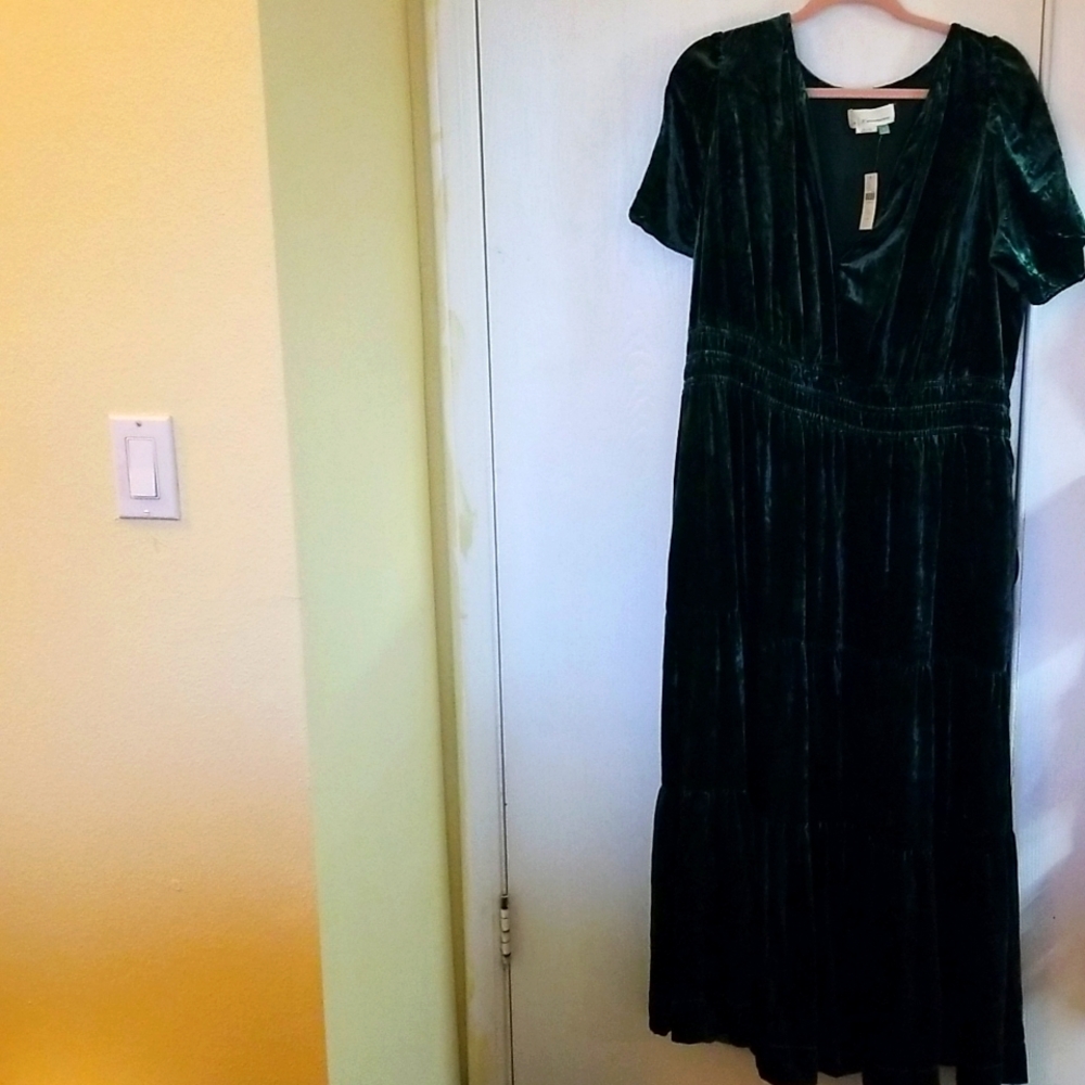 Green velvet maxi dress